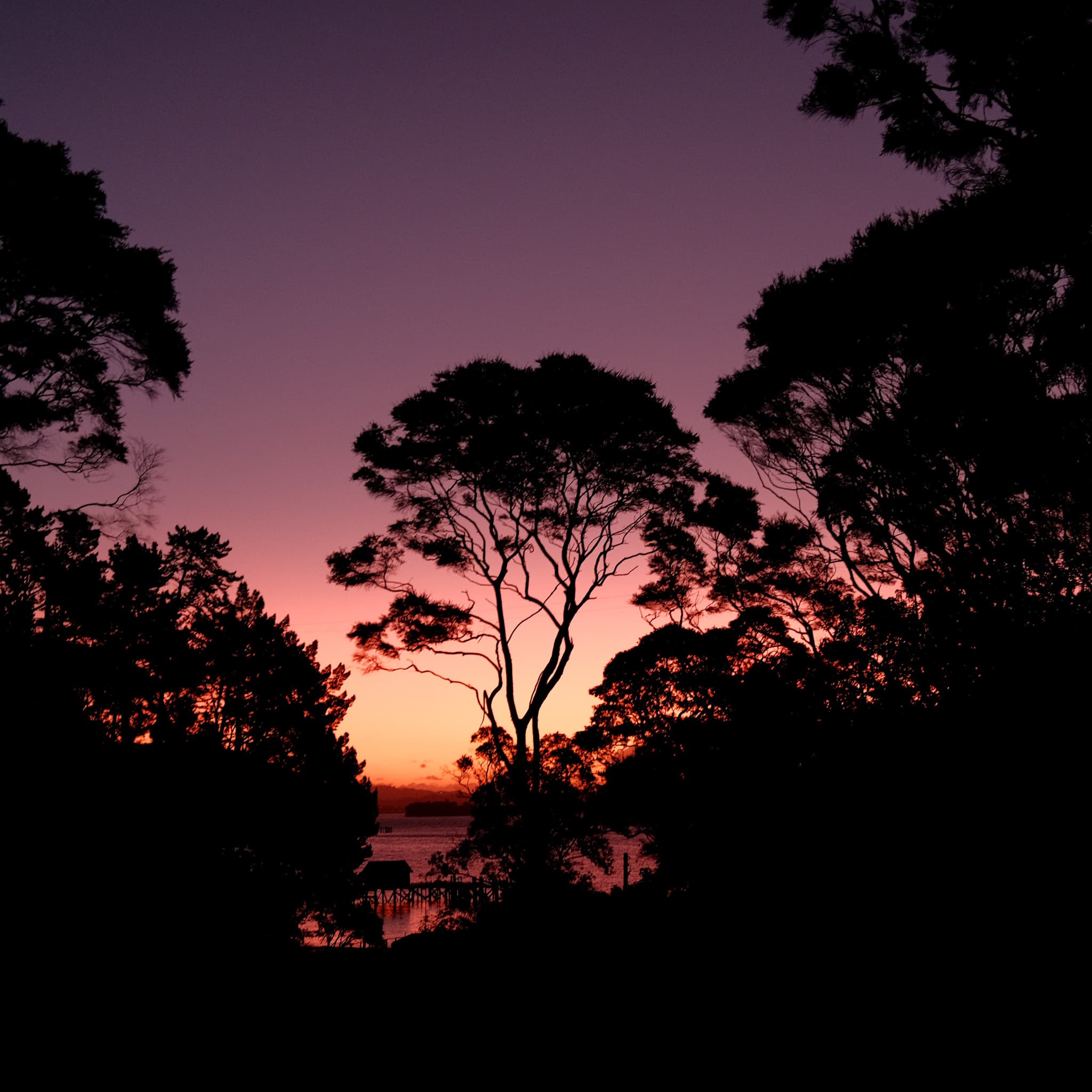 Sunset at Kawau